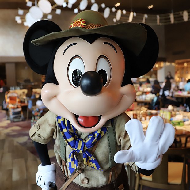 土日祝限定のランチビュッフェ🍴に行ってみました～ | ドラゴン