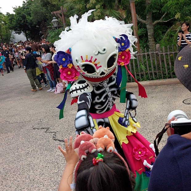 スケルトン フィエスタ