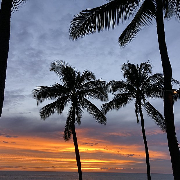 夏特価】ラウンジフライ クリスマス アウラニ② 夏特価】ラウンジフライ クリスマス アウラニ②