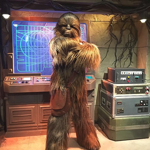 お茶目なチューバッカに会いに行こう！ スター・ウォーズ