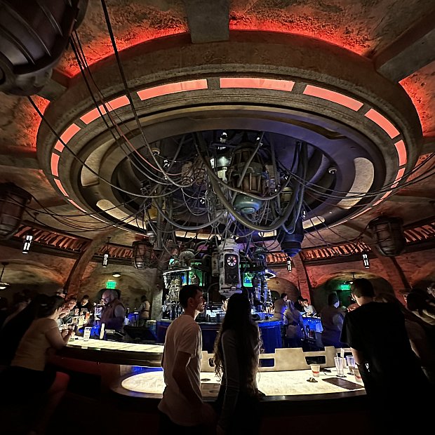 本当に異世界！スターウォーズの酒場を体験♪ オーガのカンティーナ