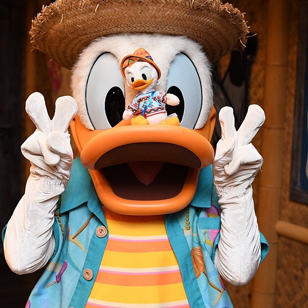 朝一がオススメ ディズニーpchグリル カリフォルニア