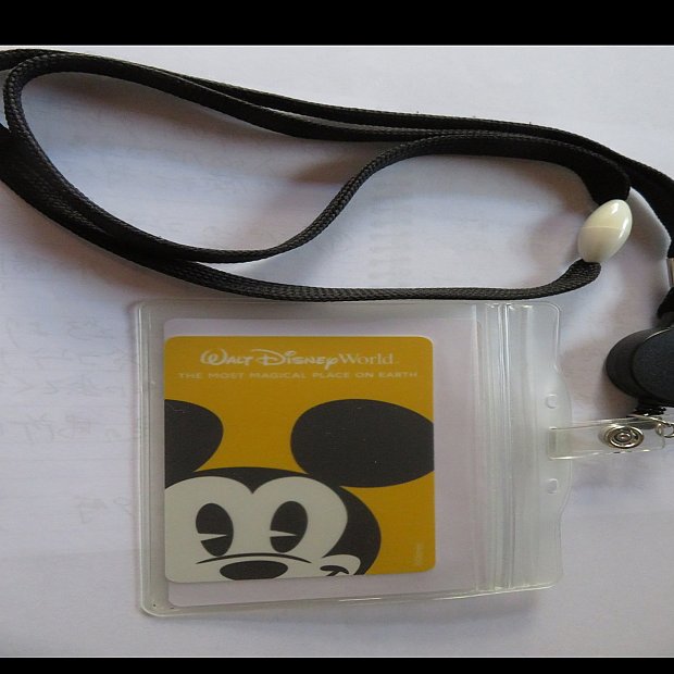 海外ディズニー ホテルカードキー ティンカーベル DISNEY ルーム