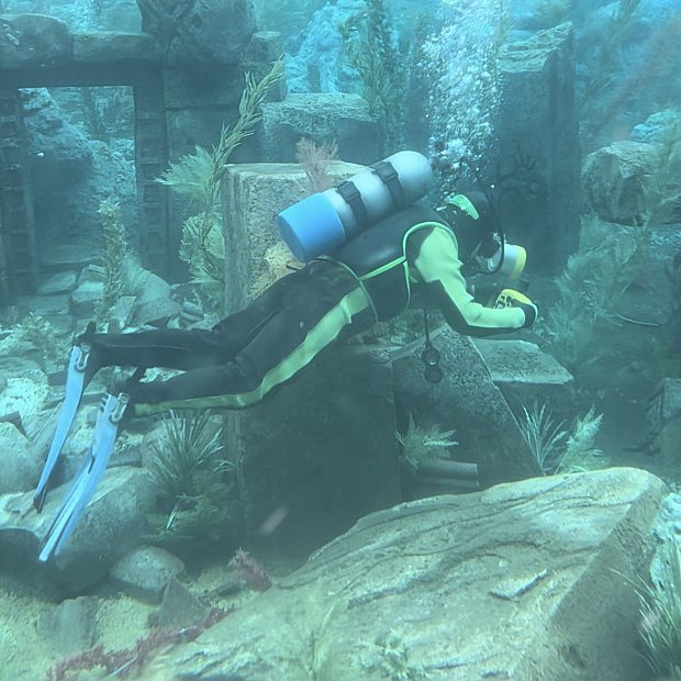 人気便利グッズ 潜水艦に乗ってニモのストーリーを見よう！ ファインディング ルアー・フライ