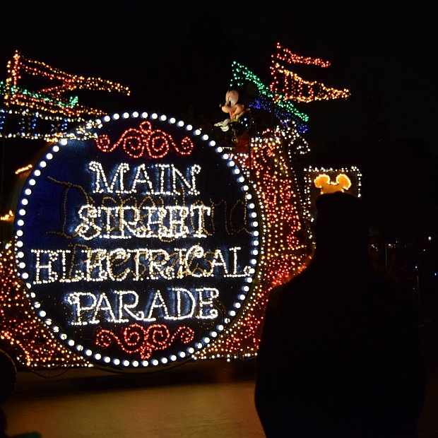 メインストリート・エレクトリカル・パレードの電球-