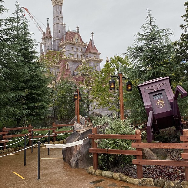 目の前で広がる美女と野獣の世界に感動 しかし…