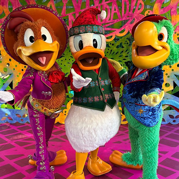 クリスマスディズニーを満喫！カリフォルニアアドベンチャー編✨