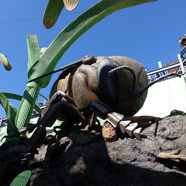巨大な昆虫がちょっと怖い キッズ向けプレイエリア ミクロキッズ 映画セット アドベンチャー フロリダ