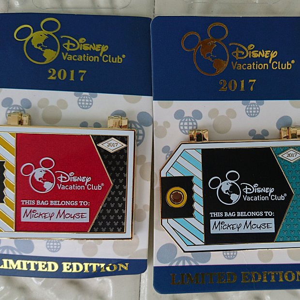 DVCメンバー限定ピン | グッズ・お土産（フロリダ）