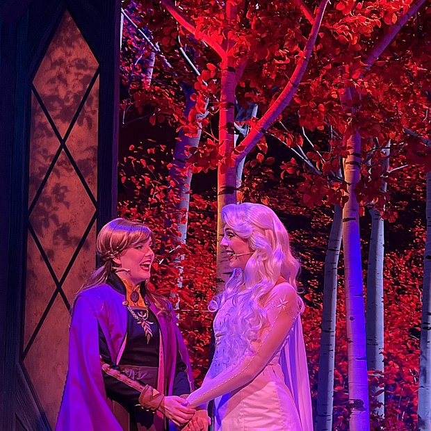 香港ディズニー FROZEN アナ雪 エルサ アナ アレンデール 11月20日オープン！アナ雪エリア「ワールド・オブ・フローズン