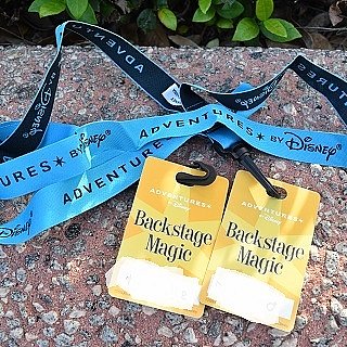 フロリダディズニー vipツアーバッジセット WDW ディズニーワールド