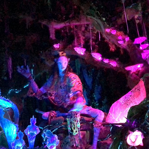 ディズニーワールド ワールドオブアバター トルーク 頭蓋骨