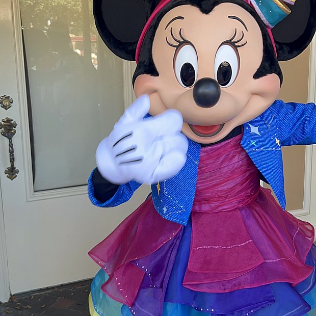 ディズニーキャラクター衣装 紫 70周年コスチュームのキャラクターグリーティング⭐︎（カリフォルニア）