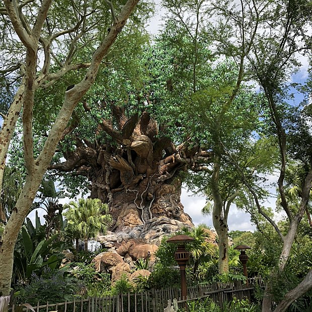 Tree of Lifeの中にあるバグズ・ライフのアトラクション！ イッツ