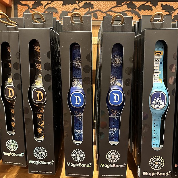 本当に必要？DLRのマジックバンド事情 | マジックバンドプラス