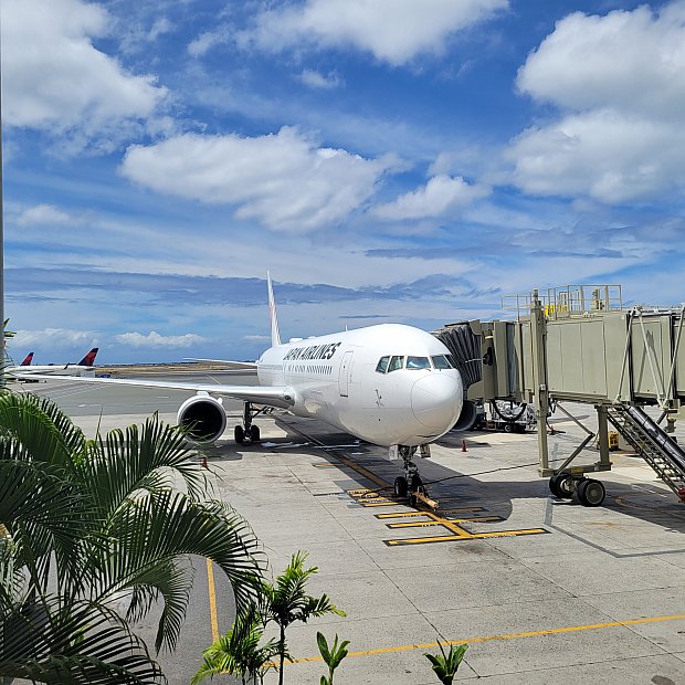 今のハワイ旅行はどんな感じ！？JAL機内＆空港レポート