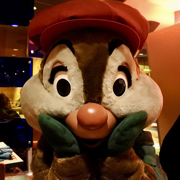 期間限定でホリデーバージョンのコスに会えるキャラダイ | グーフィー