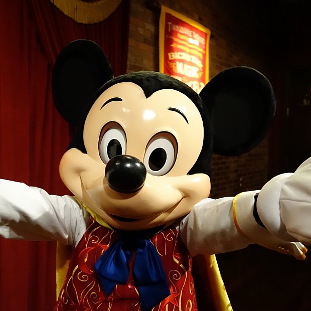 フロリダのミッキー