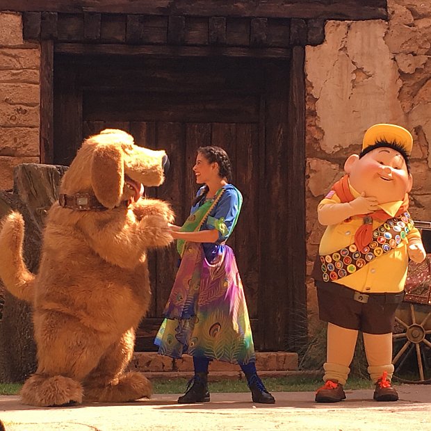 動物園で見られる凄い鳥のショーみたいな感じ アップ グレート バード アドベンチャー フロリダ