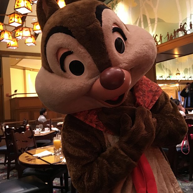 ブラザーベアのキナイとコーダに会える！ ストーリーテラー・カフェ