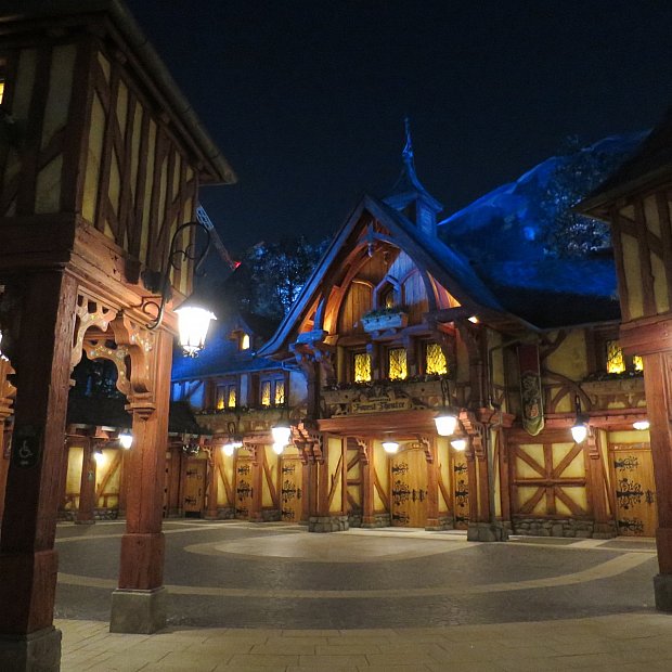 驚きの連続！世界に誇れるショー！ ミッキーのマジカルミュージック