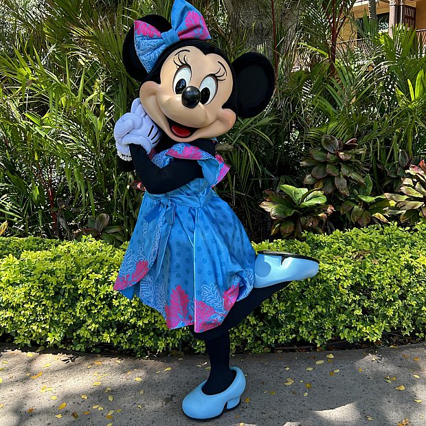 アウラニのフォトパス購入方法