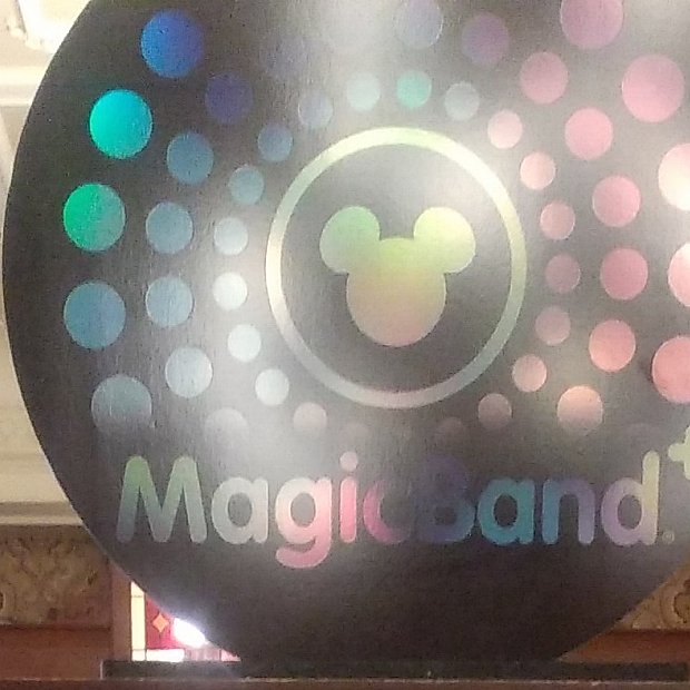 WDW MagicBand+ | マジックバンド（フロリダ）