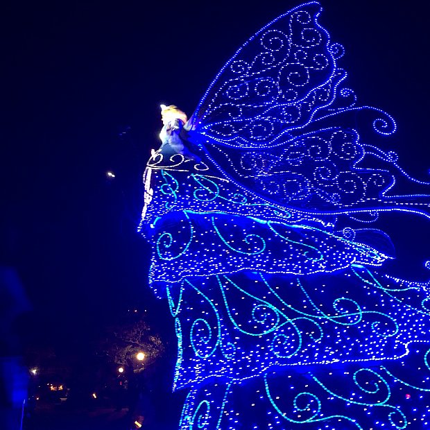 やっぱり夜はこれ 東京ディズニーランド エレクトリカルパレード ドリームライツ