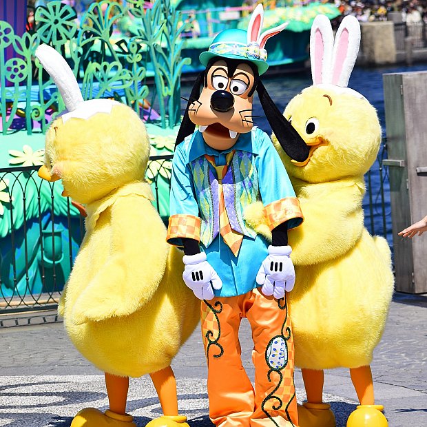 fd656309704ce18cc11ff800033a20