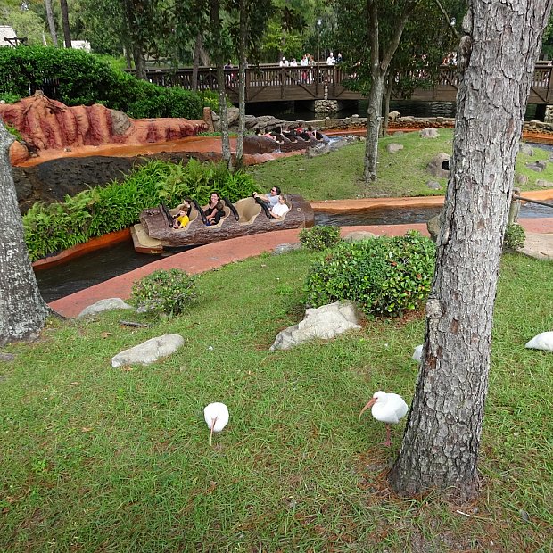 Wdw版スプラッシュ マウンテンは滝壺に落ちたあと注目 フロリダ