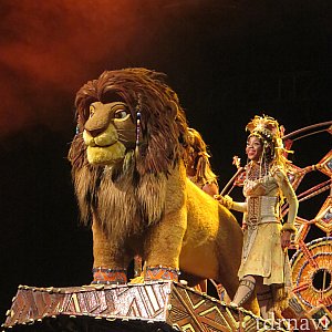 フェスティバル・オブ・ザ・ライオン・キング