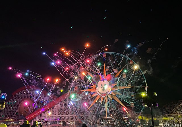 スペシャル・イベント
