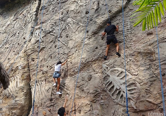 アンバー ロック クライム ユニバーサル スタジオ シンガポールのクチコミ 感想