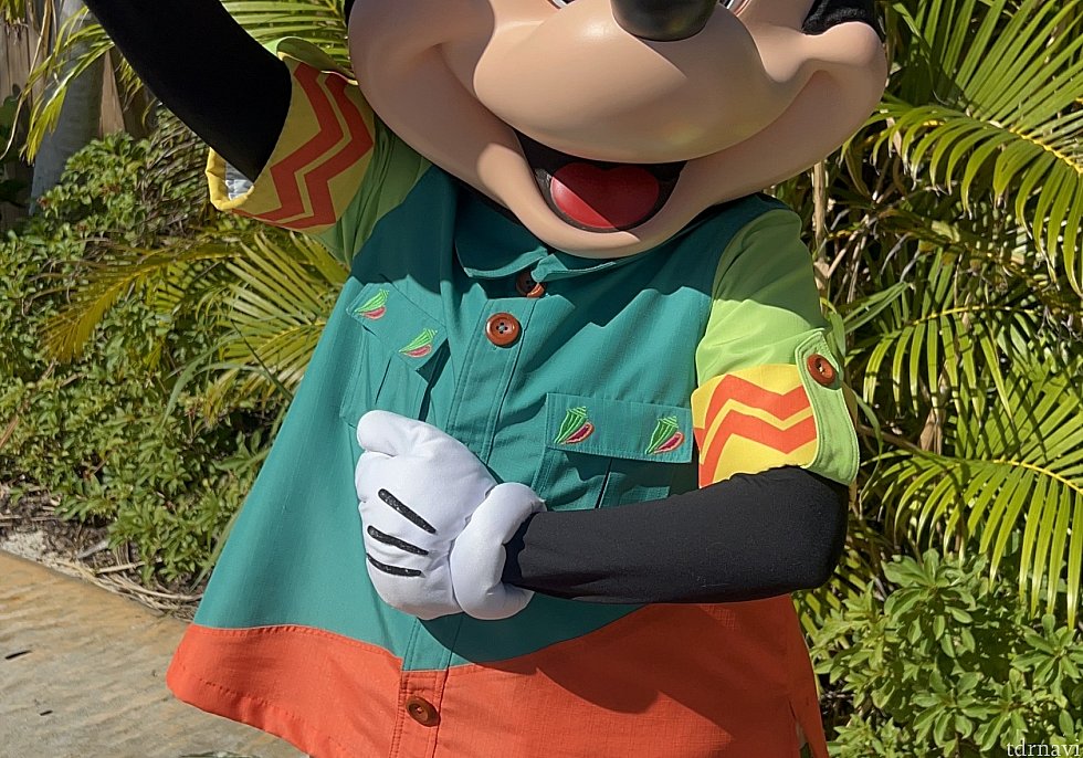 ディズニー・ルックアウト・ケイ